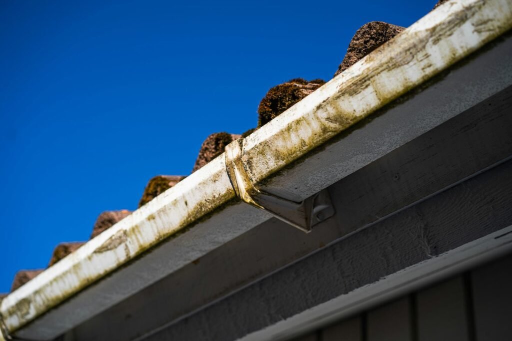 Blog gutter cleaning